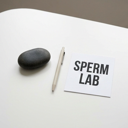 Does sildenafil affect sperm quality and fertility?