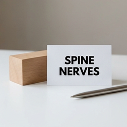 Can back problems or injuries cause erectile dysfunction?