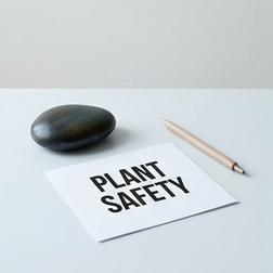 What are the side effects and safety of herbal and plant-based viagra?